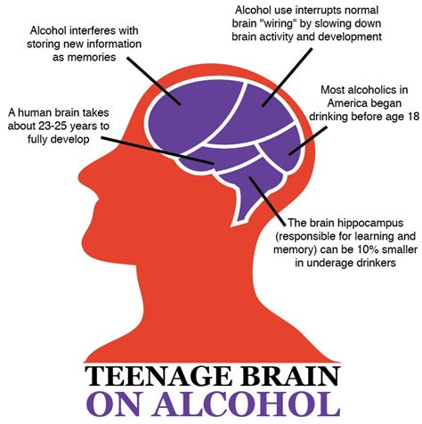 Effects Of Alcohol On Teenage Brain
