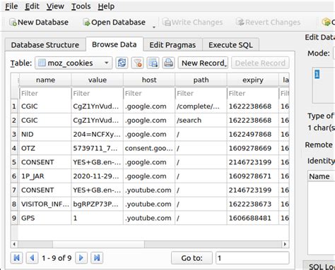 How To Use Db Browser For Sqlite On Linux Wetenschap