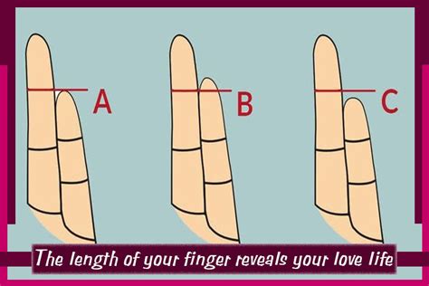 The Length Of Your Finger Reveals Your Love Life