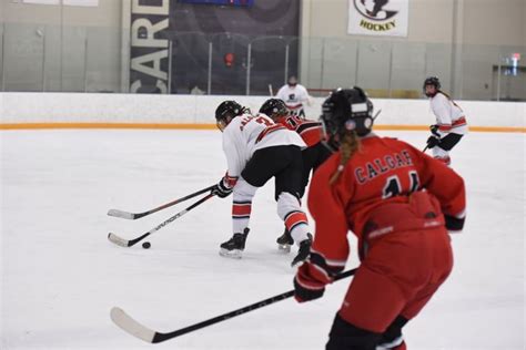 Professional Womens Hockey League Draft Eyes Alberta Top Talent