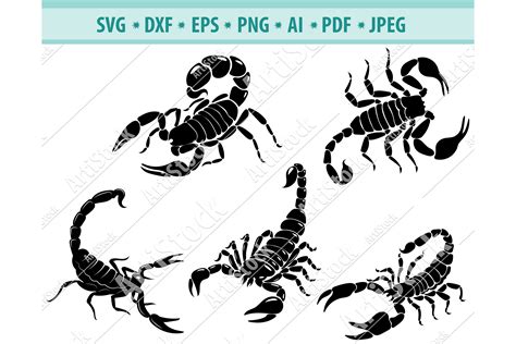 Scorpions SVG Scorpion Silhouette Insects Dxf Png Eps 430303