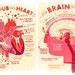 Valentine S Heart And Brain Anatomy Poster DEAL