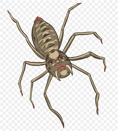Weevil Insect Arachnid Spider Man Pest Png X Px Weevil