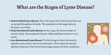 What Is Lyme Disease First Aid For Free