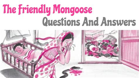 The Friendly Mongoose Questions And Answers English For Class Th