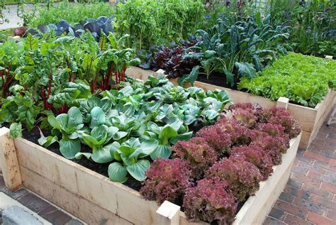 Check spelling or type a new query. beautiful vegetable garden pictures - Yahoo Image Search ...