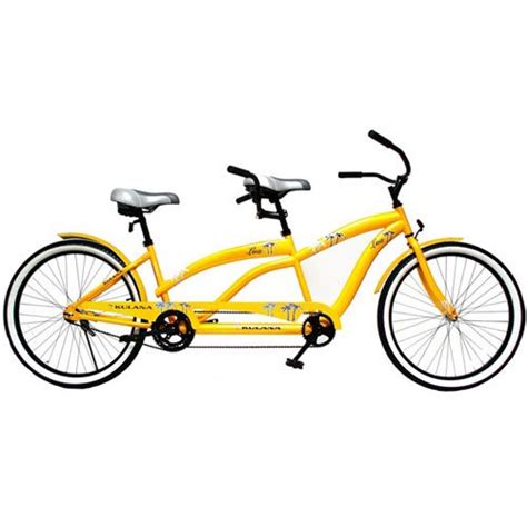 5 Best Tandem Bicycles Perfect For Fieldtrip Of Three People Tool Box
