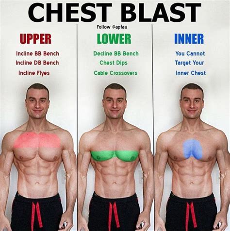 Pin On Chest Workout