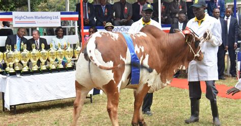 Annual Agricultural Exhibitions Set To Resume Kenya News Agency