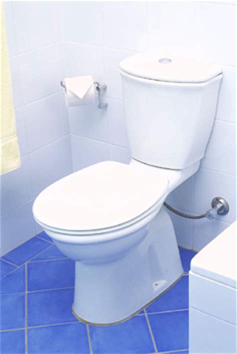 Plumbing Toilets House Of Floors