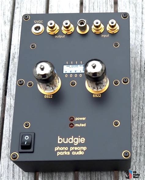 Parks Audio Budgie Tube Phono Preamp With Sut Photo 4047009 Us Audio