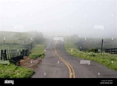 A Road Leads Into The Fog At Point Reyes National Seashore In Marin