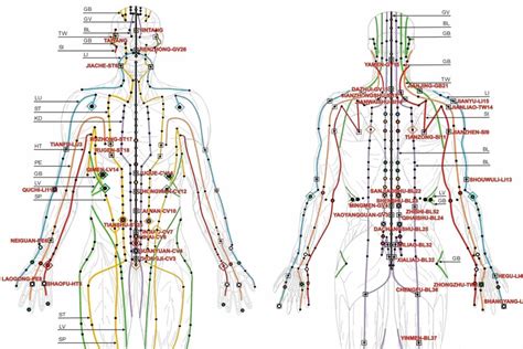 Energy meridians of the body. Puncte in acupunctura - Acupunctura si terapii orientale