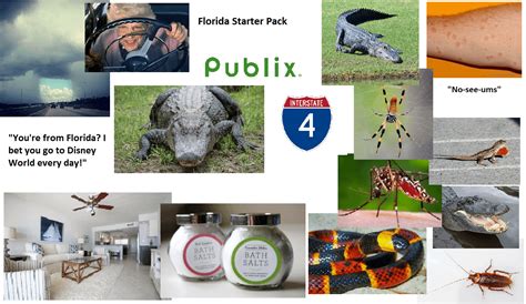 Florida Starter Pack Rstarterpacks