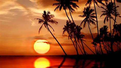 Sunset In Tropical Paradise Mac Wallpaper Download Allmacwallpaper
