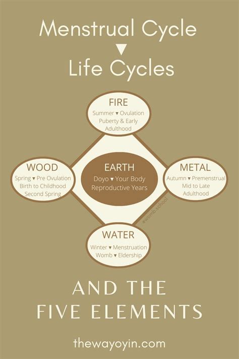 In Chinese Medicine The Five Elements Mirror The Energy For The Phases Of Your Menstrual Cycle