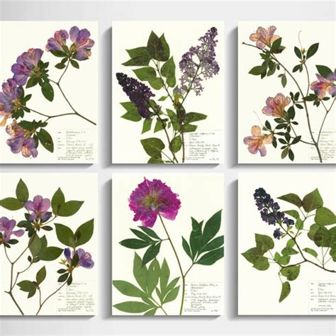 Black Background Botanical Print Set Of 6 Dark Botanicals Etsy