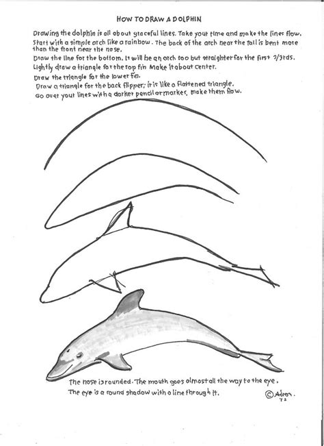 Https://techalive.net/coloring Page/apologia Zoology 2 Coloring Pages