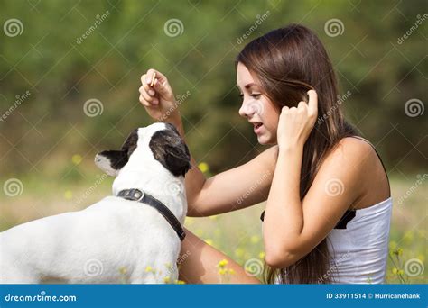 Girl Feeding Her Dog Stock Photo Image Of Outdoors Playing 33911514