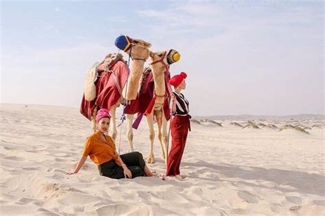 Abu Dhabi Desert Tour With Bbq Dinner Camel Ride And Belly Dance Hotel Pickup