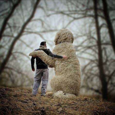 Imaginative Photographer Takes His Gigantic Dog On Extraordinary