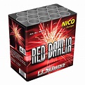 Red Dahlia von Nico Feuerwerk online kaufen