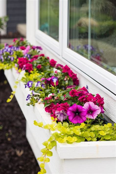 This decorated window box with a variety of fresh greenery and boxwood wreath gives a complete look for the exterior of this home! Window Boxes that won't Fall Apart | Window box flowers ...
