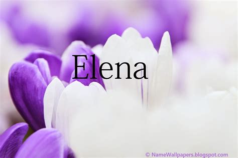 Elena Name Wallpapers Elena Name Wallpaper Urdu Name Meaning Name