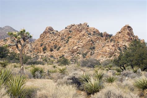 Free Stock Photo 5655 Desert Landscape Freeimageslive