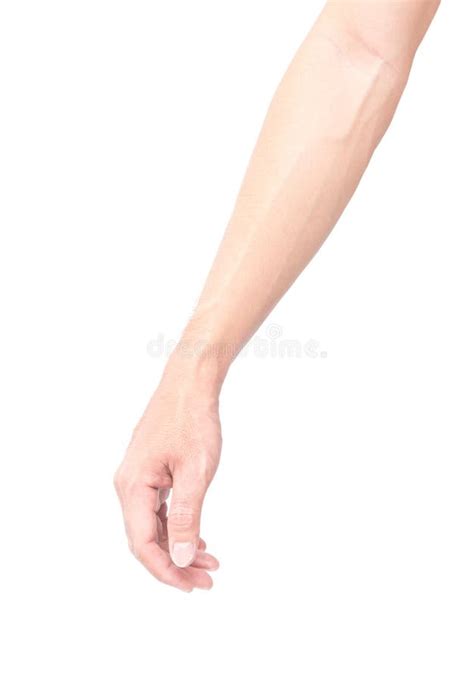 Man Arm With Blood Veins On White Background Health Care And Me Stock