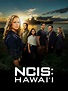 NCIS: Hawai'i - Full Cast & Crew - TV Guide