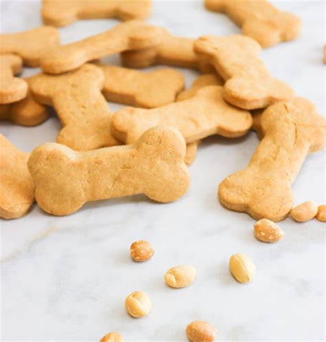 Homemade Dog Treats Peanut Butter Dog Treat Recipe Easy Recipe With