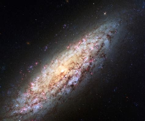 Spiral Galaxy Ngc 6503 Earth Blog