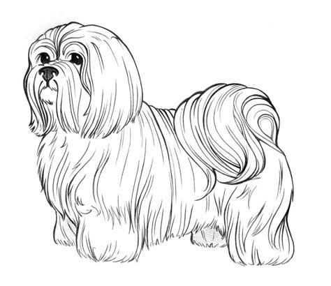 Coloring Page Of A Dog 216 Svg Cut File