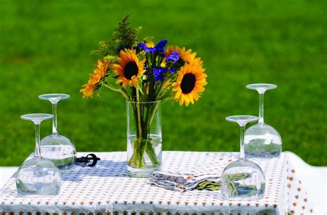 Savor the Tanglewood Wine & Food Classic along with other local