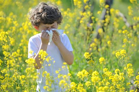 Seasonal Allergies And Myopia Control What Parents Should Know