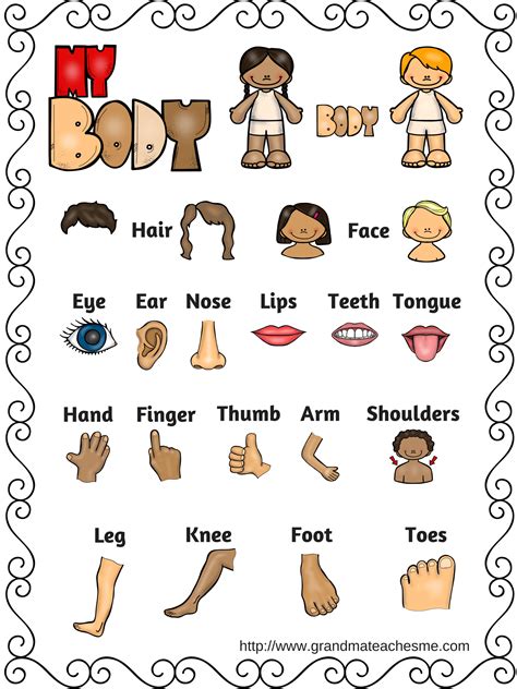 Body Part Chart Emotions Preschool Body Parts Preschool Preschool