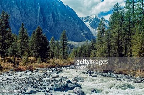 View On Aktru River Karatash Peak And Aktru Glacier Altai Republic