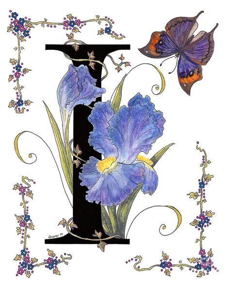 Iris And Indian Leaf Butterfly Stolen Painting By Stanza Widen