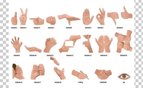 Gesture Nonverbal Communication Hand Png Clipart Arm Body Language