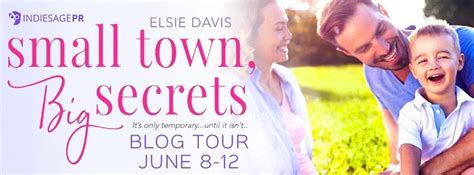 Spotlight Small Town Big Secrets By Elsie Davis — What Is That Book About