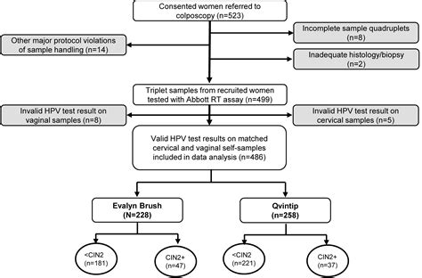 Clinical Performance Of The RealTime High Risk HPV Assay On Self