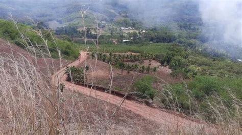 Desarrollo Rural Municipalidad De Lamas Mejora 195 KilÓmetros De