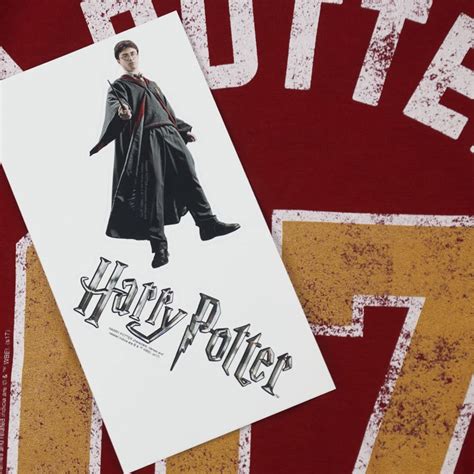 Popfunk Harry Potter Quidditch Jersey T Shirt And Stickers