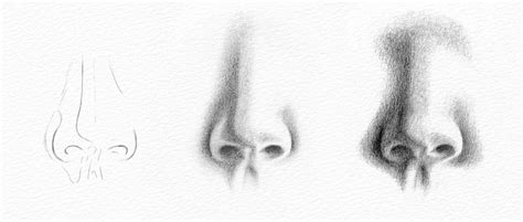 Do this by lightly drawing. Pencil Portrait Drawing - How to Draw a Nose
