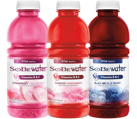 Sobe Water Variety Pack 3 Flavor Variety Pack 20 Fl Oz