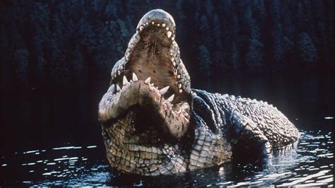 Xem Phim Cá Sấu Khổng Lồ Lake Placid 1999 Vietsub