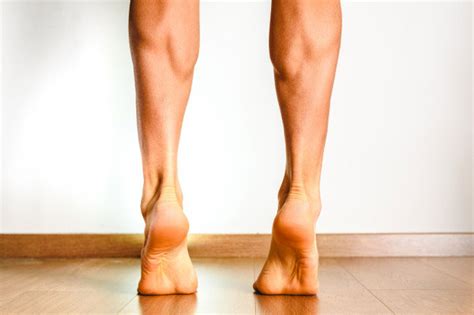 Gastrocnemius Muscle Definition Of Gastrocnemius Muscle