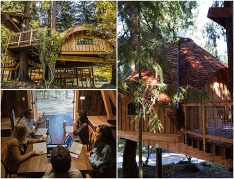 Creatively Work On The Lap Of ‘nature’ Microsoft Just Built Tree House For Employees