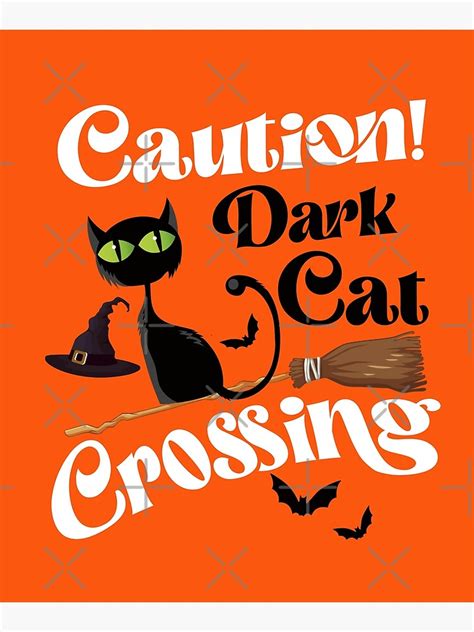Caution Dark Cat Crossing 3 Poster For Sale By Smiles74 Redbubble